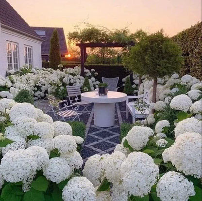 ✨Koop meer, krijg meer gratis.- Kunstmatige hortensia bloemen voor buiten💐