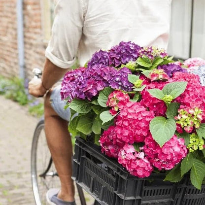 ✨Koop meer, krijg meer gratis.- Kunstmatige hortensia bloemen voor buiten💐