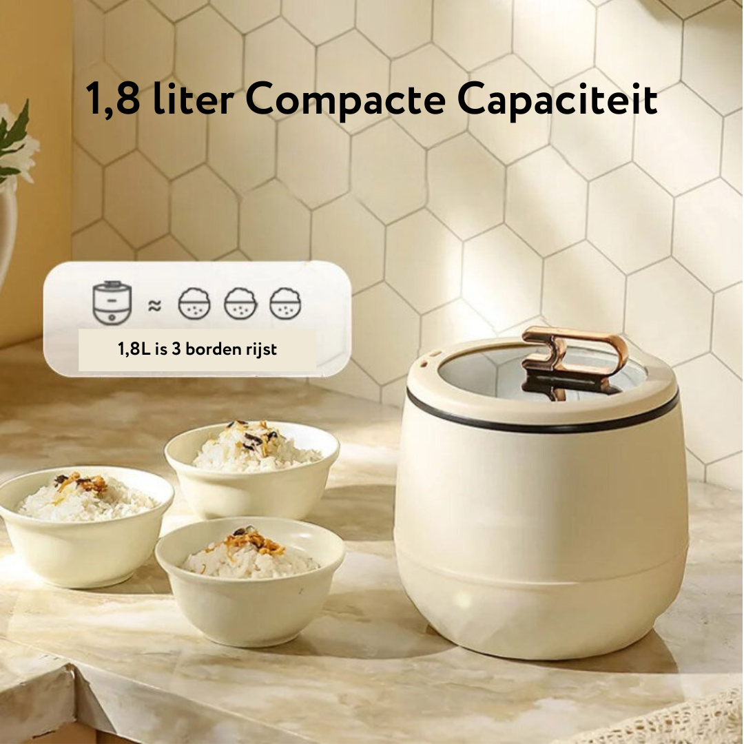 Multi Electric Pan - The Little Chef for Big Meals! 