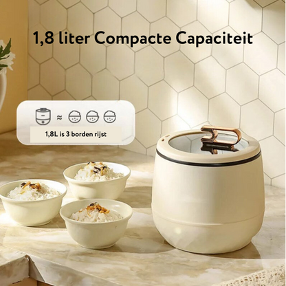Multi Electric Pan - The Little Chef for Big Meals! 