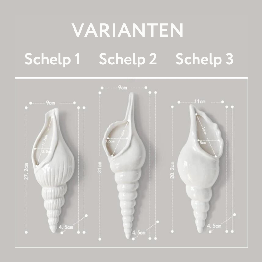 Wall shell - Make your own flower or decoration wall