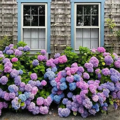 ✨Koop meer, krijg meer gratis.- Kunstmatige hortensia bloemen voor buiten💐