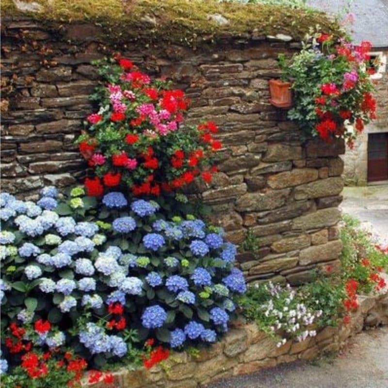 ✨Koop meer, krijg meer gratis.- Kunstmatige hortensia bloemen voor buiten💐
